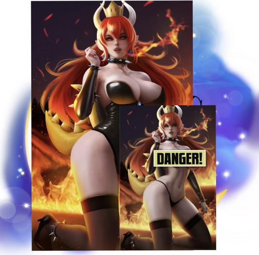 BOWSER DANEJOE ARTBOOK 2 PACK